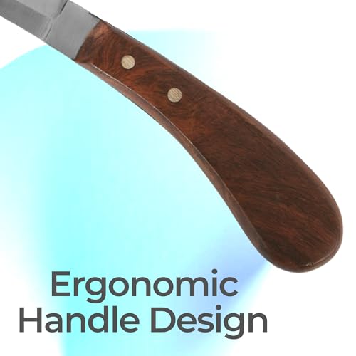 Hoof Knife Double Edged Curved Blade – Stainless Steel Curved Blade Farrier Tool with Wooden Handle, Multipurpose Hoof Trimming Knife for Livestock, 3-Inch Blade, 8.5-Inch Overall - style: Double Edge - RH