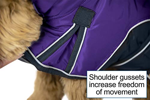 Derby Originals Urban Pet 420D Water Resistant Reflective Winter Dog Parka with Neck Cover & Harness Compatible Opening 220g Heavy Weight - color: Purple/Charcoal, size: Medium