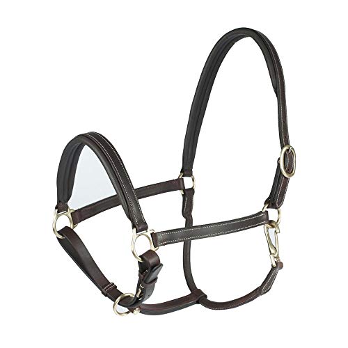 HORZE Largo Genuine Leather Horse Halter | Adjustable Padded Noseband and Crown - color: Dark Brown