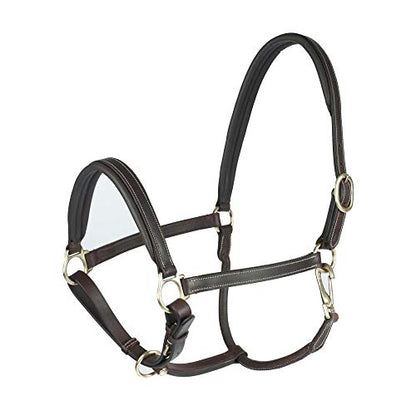 HORZE Largo Genuine Leather Horse Halter | Adjustable Padded Noseband and Crown - color: Dark Brown