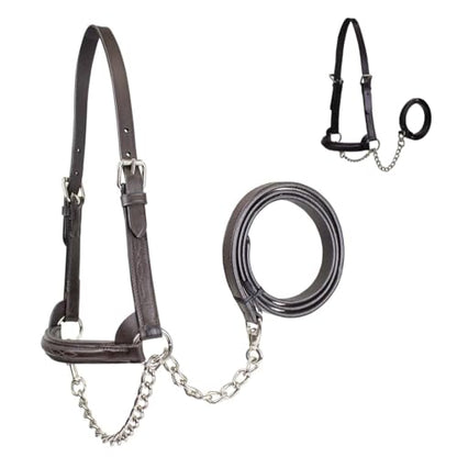 Derby Originals Premium Raised Padded Fancy Stitch Leather Cattle Show Halter with Matching Chain Lead - color: Havana, size: Large (950lbs-1500lbs)