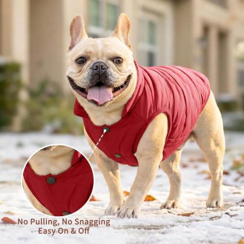 JoyDaog Fleece Lined Dog Jacket for Small Dogs,Winter Dog Coat,Red XS - color: Red, size: X-Small