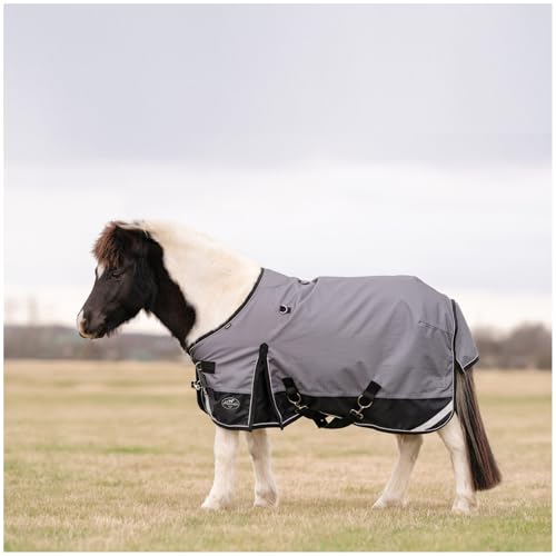PROFESSIONAL'S CHOICE 1200D Ripstop Horse Turnout Rain Sheet - color: Charcoal, size: 62"
