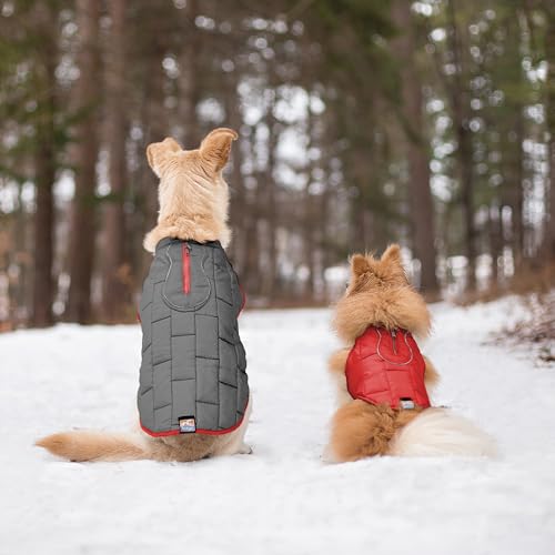Kurgo Loft Dog Jacket, Chili Red/Charcoal, Small - color: Chili Red/Charcoal, size: Small