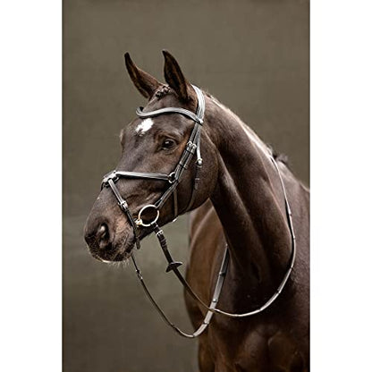 LeMieux Arika Grackle Bridle - color: Black/Silver, size: Pony