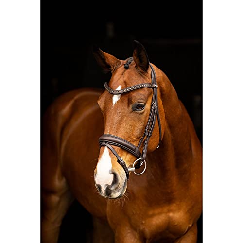 LeMieux Arika Dressage Bridle - color: Brown/Silver, size: X-Full