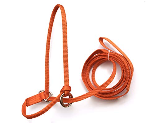 Extra Small - Sheep, Goat, Small Calf Adjustable Halter & Lead USA 250-700bs (Neon Lime Green)