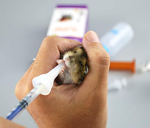 Kitten Bottles for Nursing. Pet Puppy Bottles. Dog and cat and Wild Animal Silicone Nipples (Feeding Tool)