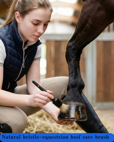 Hoof Oil Brush for Horses, 2 Pack Natural Hoof & Face Brush with Cap
