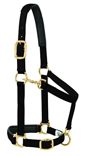 Weaver Leather Padded Adjustable Nylon Horse Halter