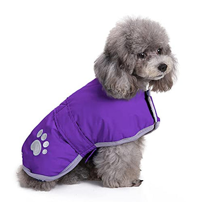 Queenmore Dog Winter Coat, Cold Weather Fleece Dog Jacket, Small Dog Coat - color: Purple, size: X-Small
