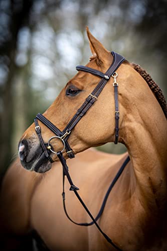 LeMieux Kudos Work Bridle - color: Brown, size: Full
