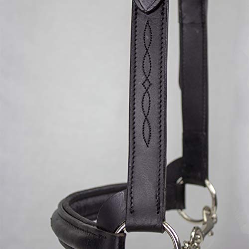 Derby Originals Premium Raised Padded Fancy Stitch Leather Cattle Show Halter with Matching Chain Lead - color: Black, size: Large (950lbs-1500lbs)