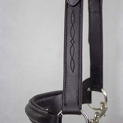 Derby Originals Premium Raised Padded Fancy Stitch Leather Cattle Show Halter with Matching Chain Lead - color: Havana, size: Large (950lbs-1500lbs)