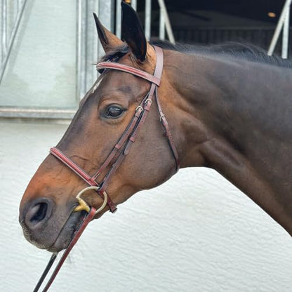 Country Pride Reserve Fancy Stitched English Bridle for Horses, Premium Show-Quality Leather with Elegant Browband and Noseband Stitching, Includes Matching Laced Reins, Durable and Versatile - size: Pony