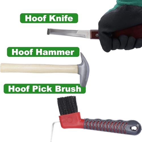 lukar 12PCS Horse Farrier Tools Kit Hoof Trimming Tools with Handbag