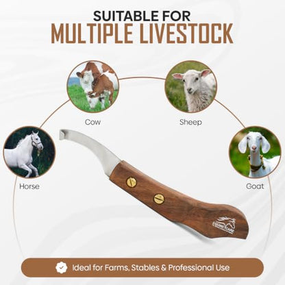 Equine Care Right-Handed Farrier Hoof Knife, Sheesham Wood Handle - style: Right Handed