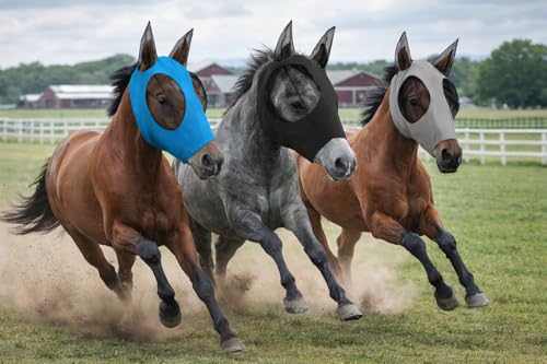Horse Fly Mask - Arab Equine Fly Mask with Full Coverage for Eye & Ear - Stretchable, UV & Sun Protection Flymask for Horses, Ponies & Mini Horses - Horse Face Cover for Pasture & Trail - 3pack