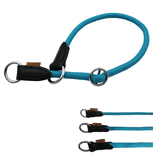 Braided Round Martingale Dog Collar, Training Collar with Slidable Stop Ring - Ideal for Small Medium Dogs (M- (1/3") - 18" Long, Light Blue) - color: Light Blue, size: M- (1/3") - 18" Long