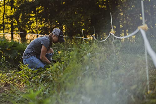 Hooyman Hot Zone Garden and Food Plot Electric Fence, Solar Powered Deer Exclosure with Solar Panel System, Fiberglass Posts, Post Insulators, and In-Line Tensioners for Food Plot or Garden Protection - style: Poly Rope