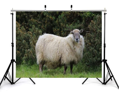 20x10ft Fabric Fluffy Wool Sheep Backdrop Single White Sheep Lush Green Bush Grass Bright Clear Blue Sky Background Tapestry Party Farm Animal Decorations Photo Booth Props - size: 20x10ft