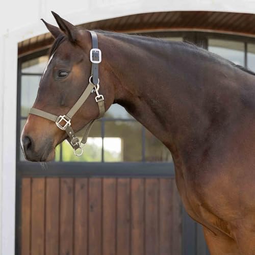 Equinavia Loki Nylon Horse Halter: Breakaway Leather Crown, Adjustable Fit - color: Light Olive, size: Pony