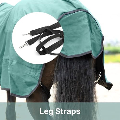 RESISTANCE Premium 1680D Waterproof Horse Turnout Blanket with 300g Polyfill & Adjustable Buckle Closure - color: Bottle Green, size: 84"