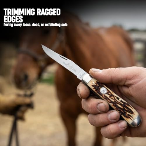 SZCO Supplies 3.75" Dual Blade Hoof Knife – Stainless Steel Hook and Clip-Point Blades, Durable Bone-Style Handle, Multi-Use Folding Utility Knife for Ranch, Barn, Camping, and Outdoor Knife