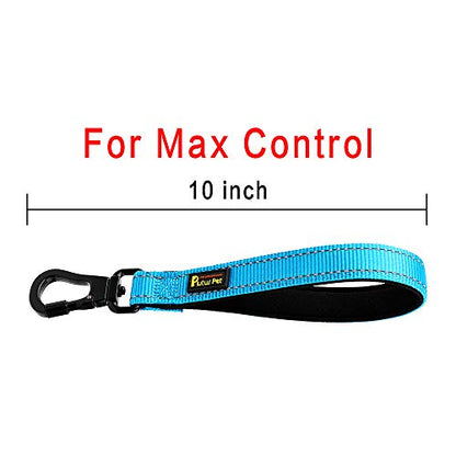 PLUTUS PET 10” Short Dog Leash, Reflective Nylon Padded Handle, Strong Traffic Leash with Carabiner Clip, Perfect for Large or Medium Dogs（10”，Blue | Reflective, Heavy Duty Strong Nylon, Traffic Leash with Carabiner Clip for Training Walking (10", Light B