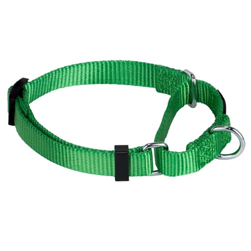 Hyhug Martingale Collar for Dogs Small Green |Escape - Proof Heavy Duty Nylon Durable No Buckle, Ideal for Training & Daily Walks | Heavy-duty nylon delivers gentle control for puppies. Ideal for training and park walks. Adjustable, comfortable, and secur