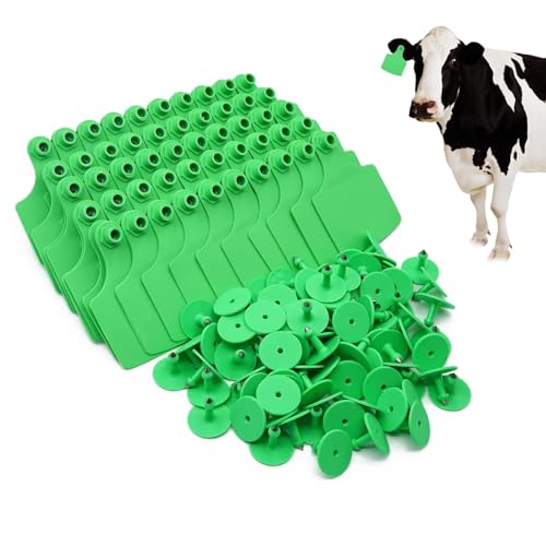 4.1" L×3.5" W Cattle Ear Tags Big Blank 100PCS Livestock Identification TPU - color: 6-green