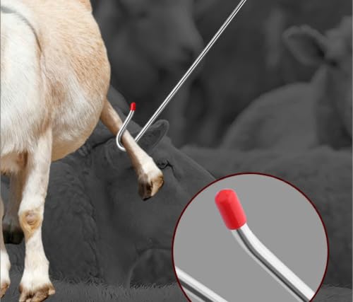 Professional Livestock Leg Hook, 59 inch Total Length, Dismantlable Carbon Steel Goat Catcher for Farms and Breeding Farms Grabber Capture