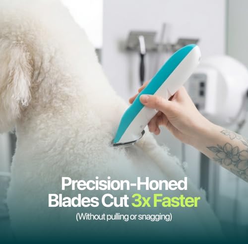 A Series #40 Grooming Blade - Fits Raptor, Falcon & Any A5 Clipper - size: #40:1/100" (0.25mm)