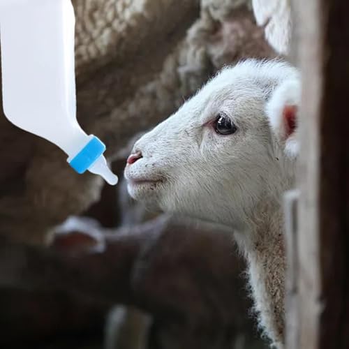 Lamb Feeding Bottle Hangable Soft Nipple Drink Clear Scale | Small Animal Bottle for Kid Goat Supplies Lamb Feeding Hangable Soft Nipple Drink Clear Scale Kid Goat Supplies Small Animal