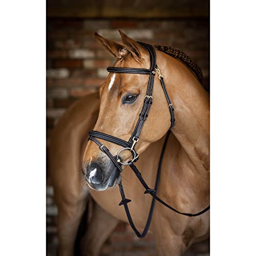 LeMieux Kudos Work Bridle - color: Brown, size: X-Full