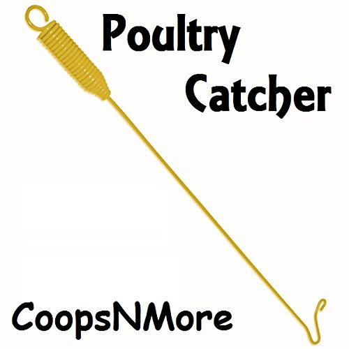48" Chicken Catcher Leg Hook CATCHING Poultry Goose Geese Duck Turkey Fowl Bird