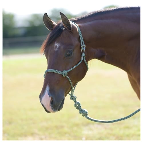 Professional's Choice Easy ON Rope Halter W/Lead - color: Emerald