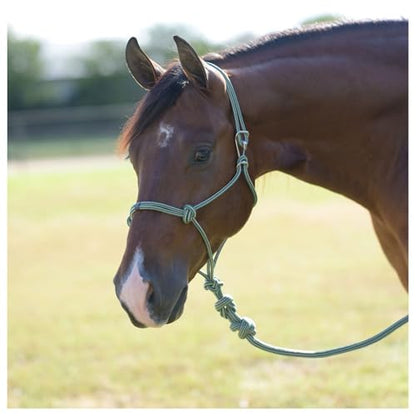 Professional's Choice Easy ON Rope Halter W/Lead - color: Emerald