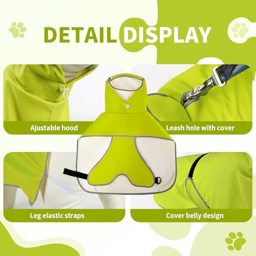 Dog Raincoat,Dog Rain Jacket Poncho with Hood and Leash Hole(Green,2XL) | Windproof,Waterproof,Leash Loop,Adjustable - color: Neon Green, size: 2XL(31-39lbs)