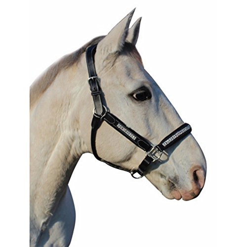 Henri de Rivel Replacement Throat Latch for Mono Crown Bridles - color: Black w/ Silver Crystal, size: Cob