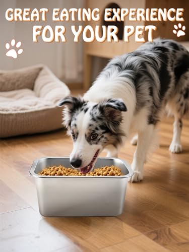 MEWTOGO 2 Gallons Large Capacity Food Grade Stainless Steel Dog Bowls - size: 2 Gal
