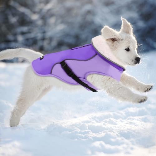 EMUST Dog Winter Coat, Waterproof Fleece Dog Jacket Winter for Medium Dogs - color: New Purple, size: Medium