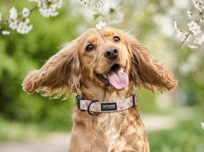 Tuff Pupper Premium Adjustable Dog Collar, Stylish Pattern Collars Designed in USA, Quick Release Buckle, Petal Blush Small (0.7 Inch Wide x 8-12 Inch Neck) - color: Petal Blush, size: Small