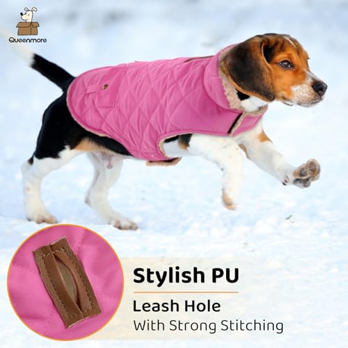 Queenmore XS Waterproof Dog Winter Coat Cold Weather Warm Fleece Jacket - color: Pink, size: X-Small
