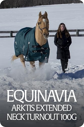 Equinavia Arktis Waterproof Winter Turnout Blanket, 100g Extended Neck - color: Deep Green, size: 69 in