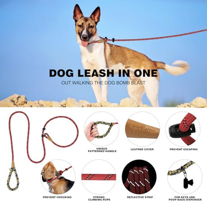 lynxking Dog Leash 3/8in x 6ft Slip Lead Reflective Purple and red, 2 Pack