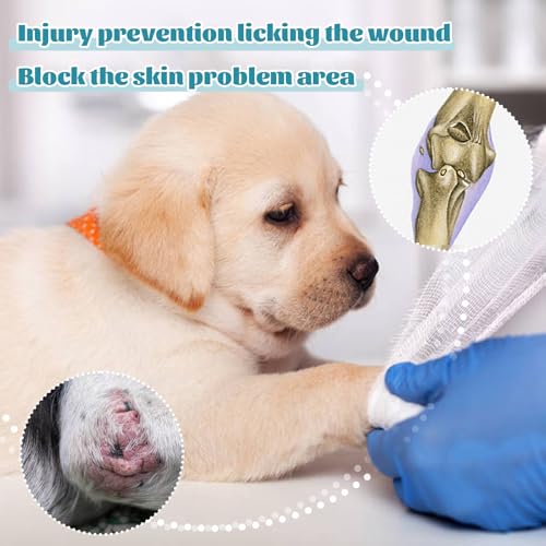 Leg Covers for Dogs' Front Leg to Stop Licking Wound Keep Clean - color: Zebra, size: XS