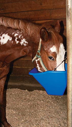 Little Giant® Plastic Better Bucket | Horse Feed Bucket | Ergonomically Designed | Flat Back Bucket | Made in USA | 20 Quarts | Blue - color: Blue, size: 20 Quarts