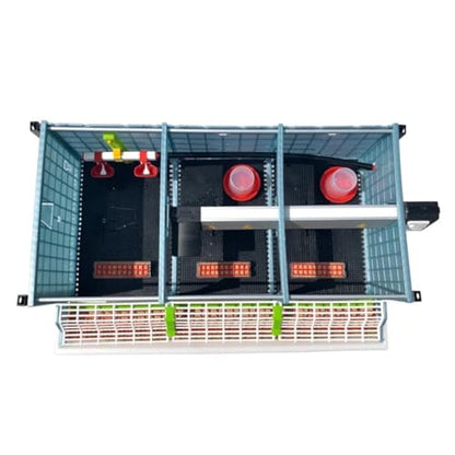 Hatching Time 9.5" Chick Brooders – Stackable or 2-Section Options with Automatic Heating, Modular Design, Easy to Clean, Ideal for Quail, Pheasant, and Baby Chicks (5 Layer) - style: 3 Section, 5 Layer