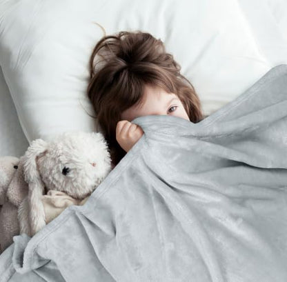 Utopia Bedding Soft Fleece Bed Blanket Throw Size Light Grey (50x60 Inch) - color: Light Grey, size: Throw (50x60 Inch)